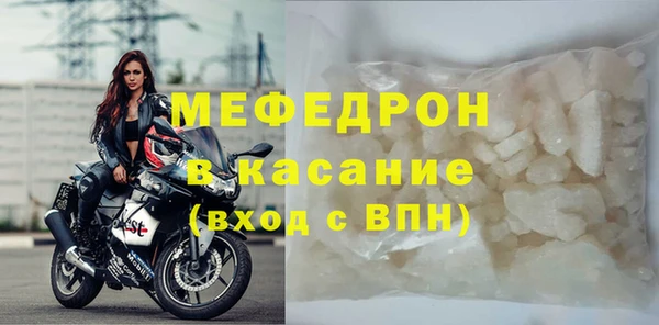 мдпв Гусев