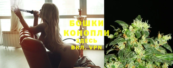 Альфа ПВП Гусиноозёрск