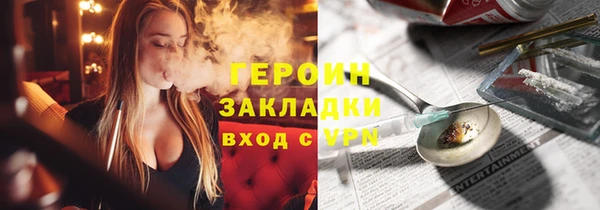 мдпв Гусев