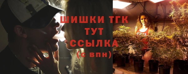 Альфа ПВП Гусиноозёрск