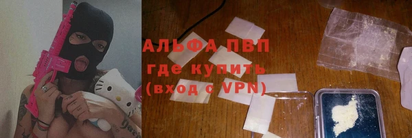 прущие грибы Пестово