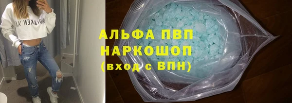 мдпв Гусев