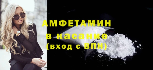 мдпв Гусев