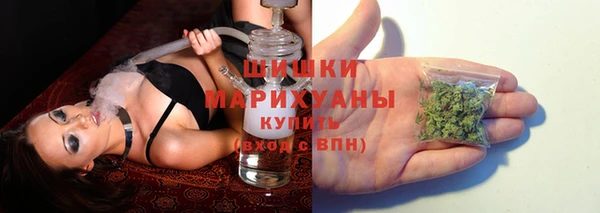гидропоника Пересвет