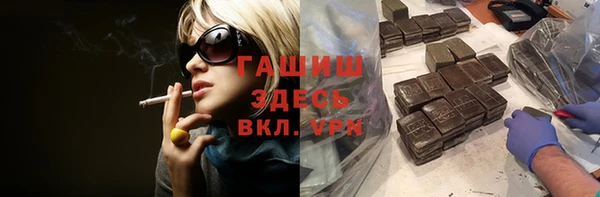 мдпв Гусев
