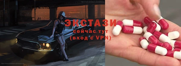 мдпв Гусев