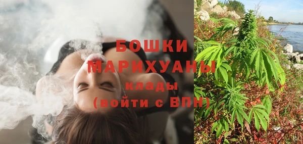 spice Гусь-Хрустальный