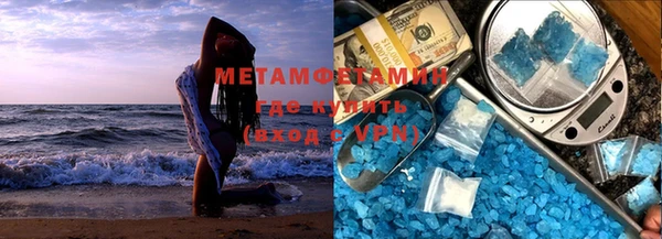 прущие грибы Пестово