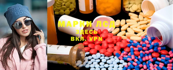 мдпв Гусев