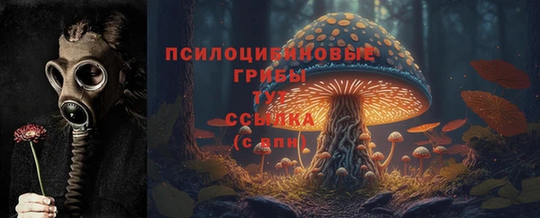 мдпв Гусев