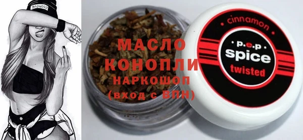 мдпв Гусев