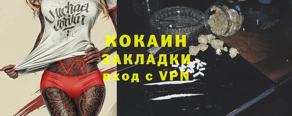 мдпв Гусев